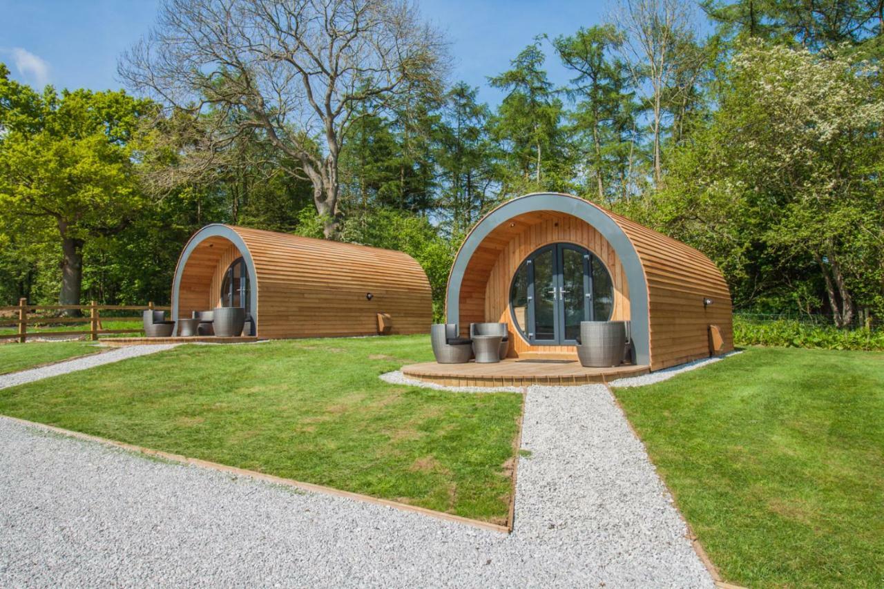 Luxury tent High Oaks Grange - Glamping *