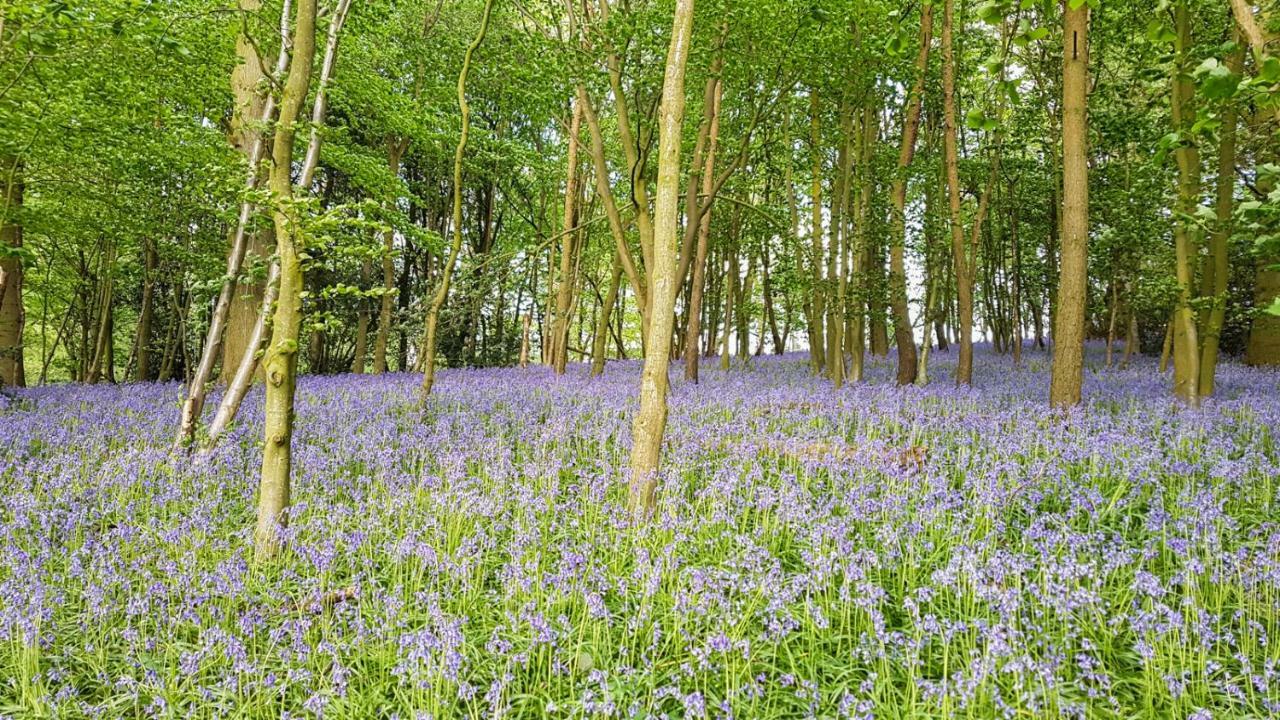 High Oaks Grange - Glamping Pickering